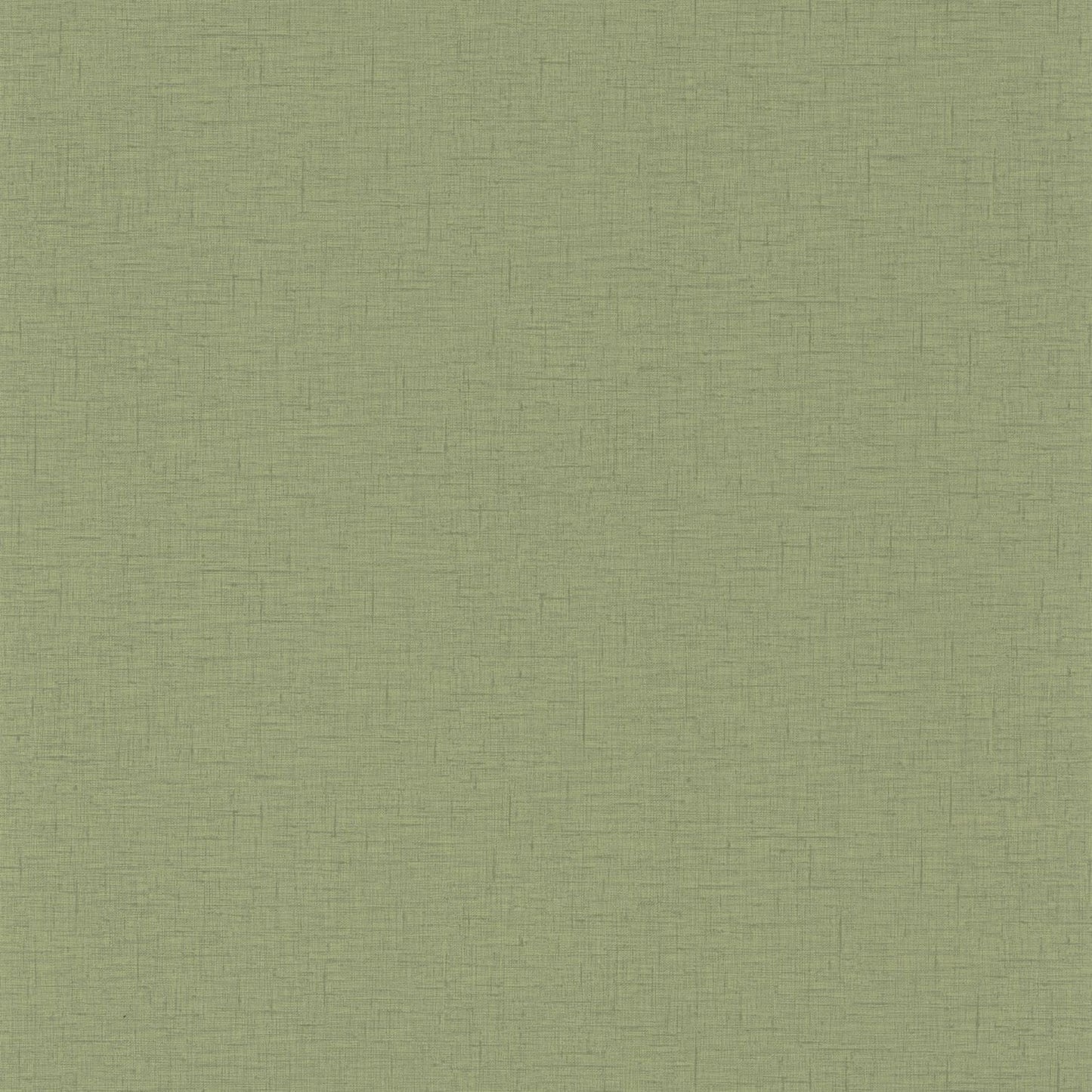 Uni Gaze Wallpaper - Olive - Caselio - 103767228 - Premier Wallcovering