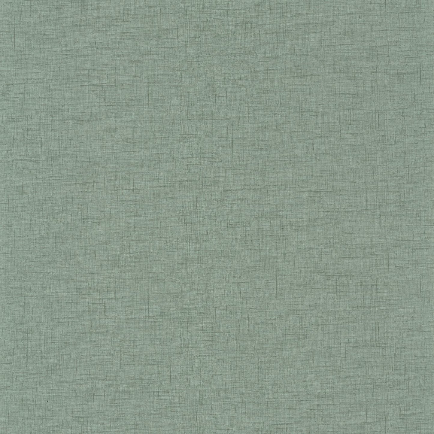 Uni Gaze Wallpaper - Mousse - Caselio - 103767556 - Premier Wallcovering