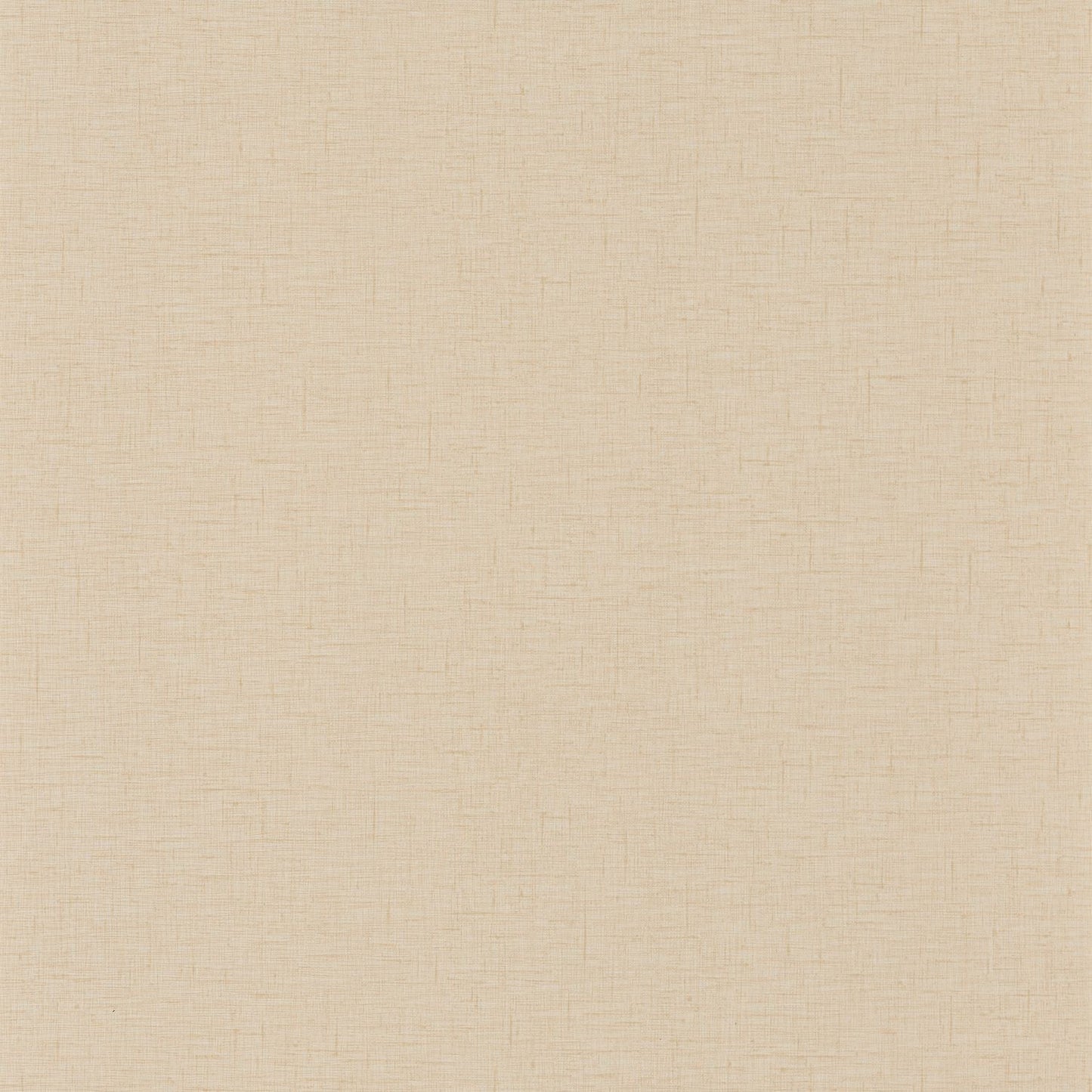 Uni Gaze Wallpaper - Macaron - Caselio - 103761000 - Premier Wallcovering