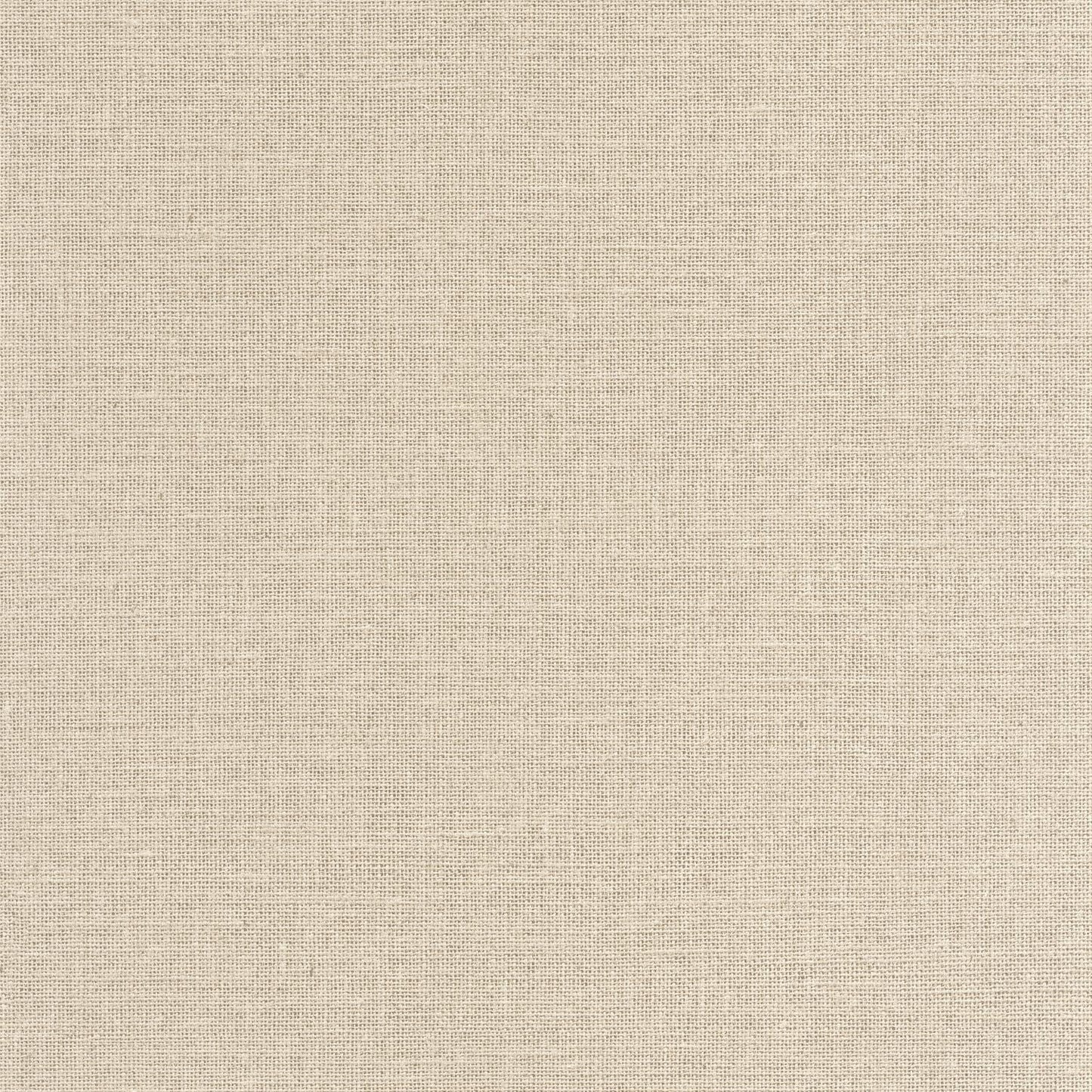 Uni Mat Wallpaper - Pistache - Caselio - 104017230 - Premier Wallcovering