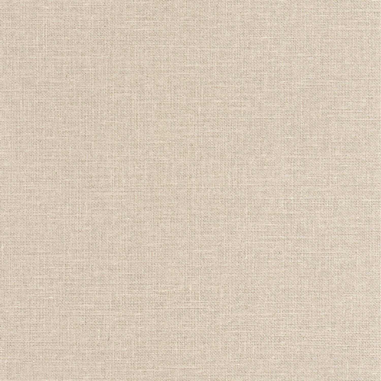 Uni Mat Wallpaper - Pistache - Caselio - 104017230 - Premier Wallcovering
