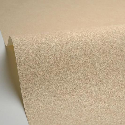 Uni Mat Wallpaper - Cappucino - Caselio - 105241223 - Premier Wallcovering