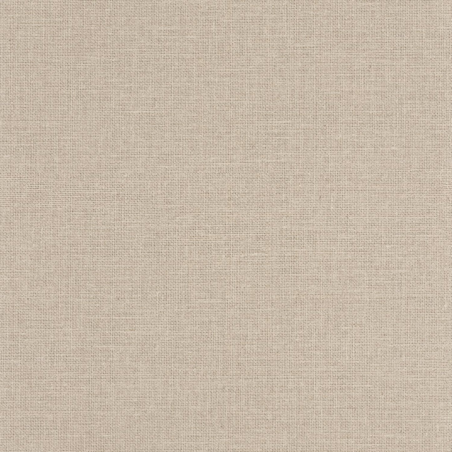 Uni Mat Wallpaper - Ficelle - Caselio - 104011025 - Premier Wallcovering