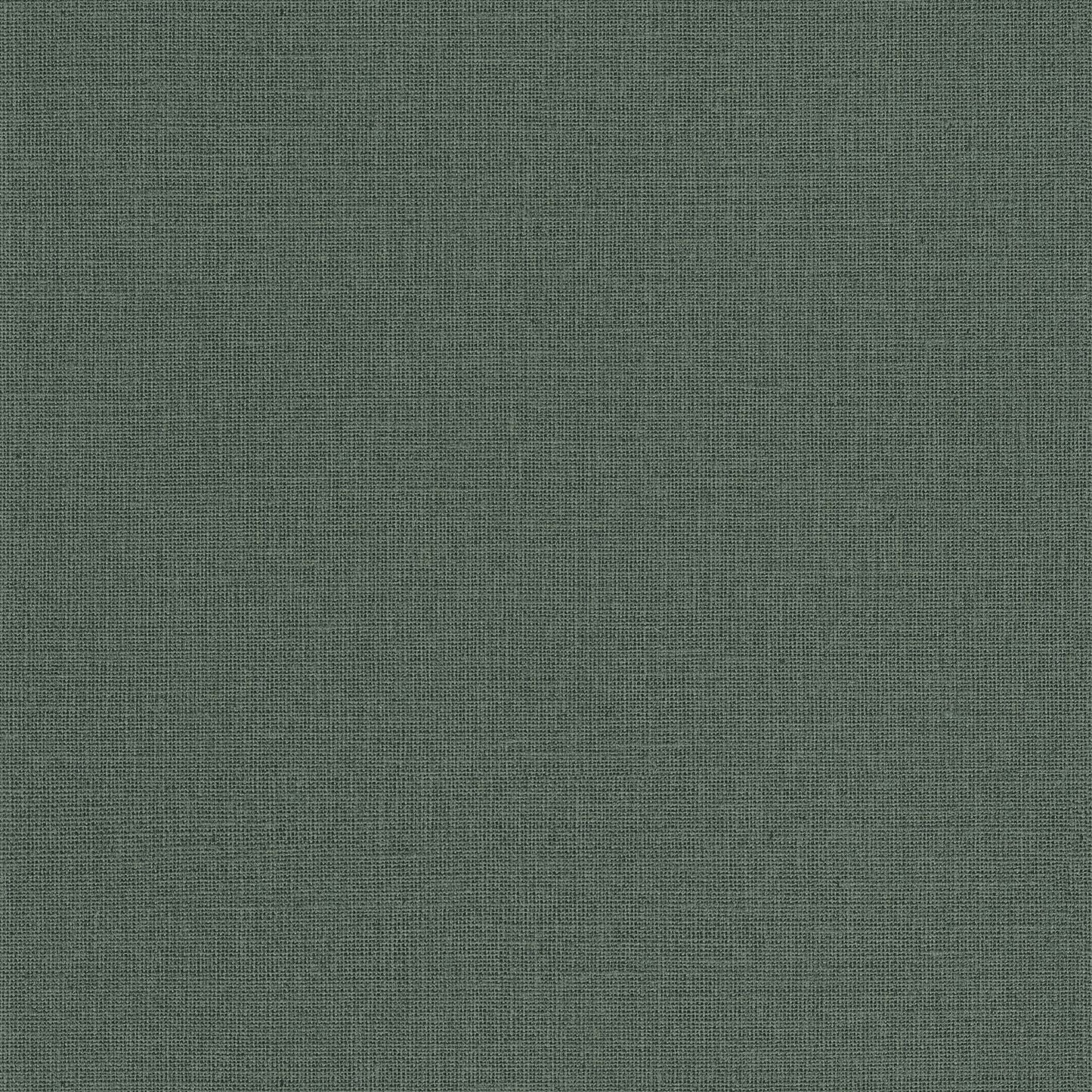 Uni Mat Wallpaper - Menthe - Caselio - 104017670 - Premier Wallcovering