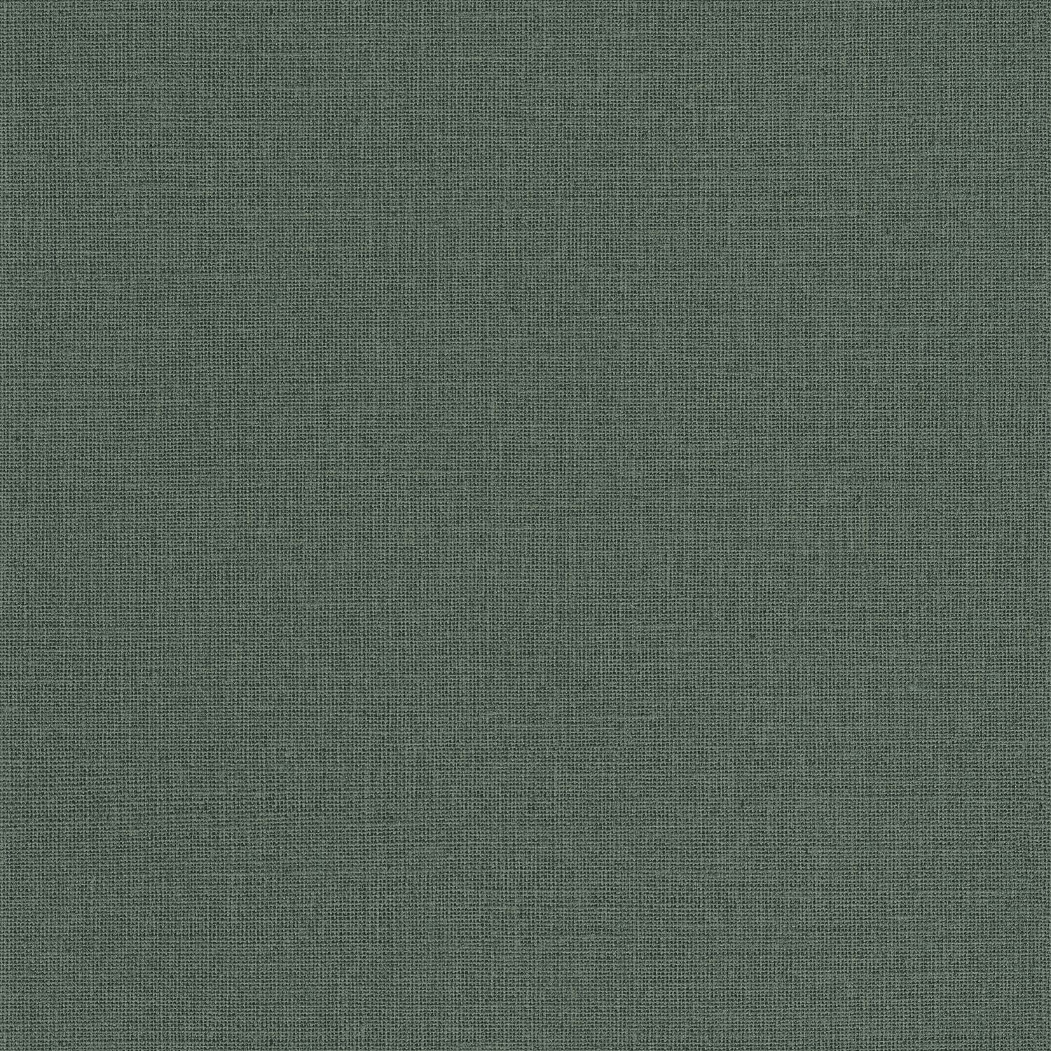 Uni Mat Wallpaper - Menthe - Caselio - 104017670 - Premier Wallcovering