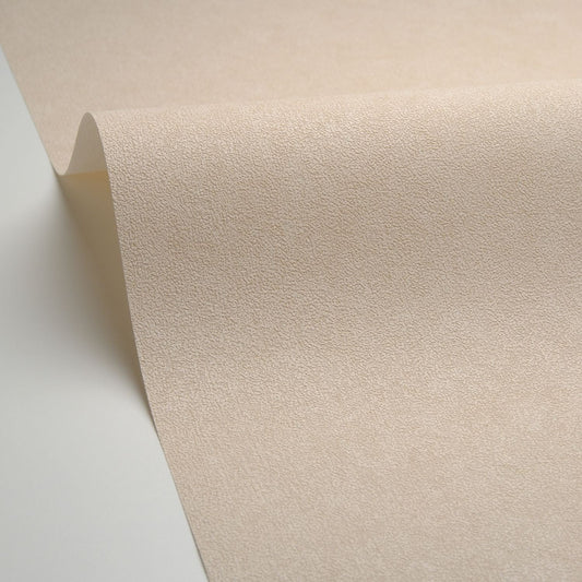 Uni Mat Wallpaper - Beige - Caselio - 105241844 - Premier Wallcovering