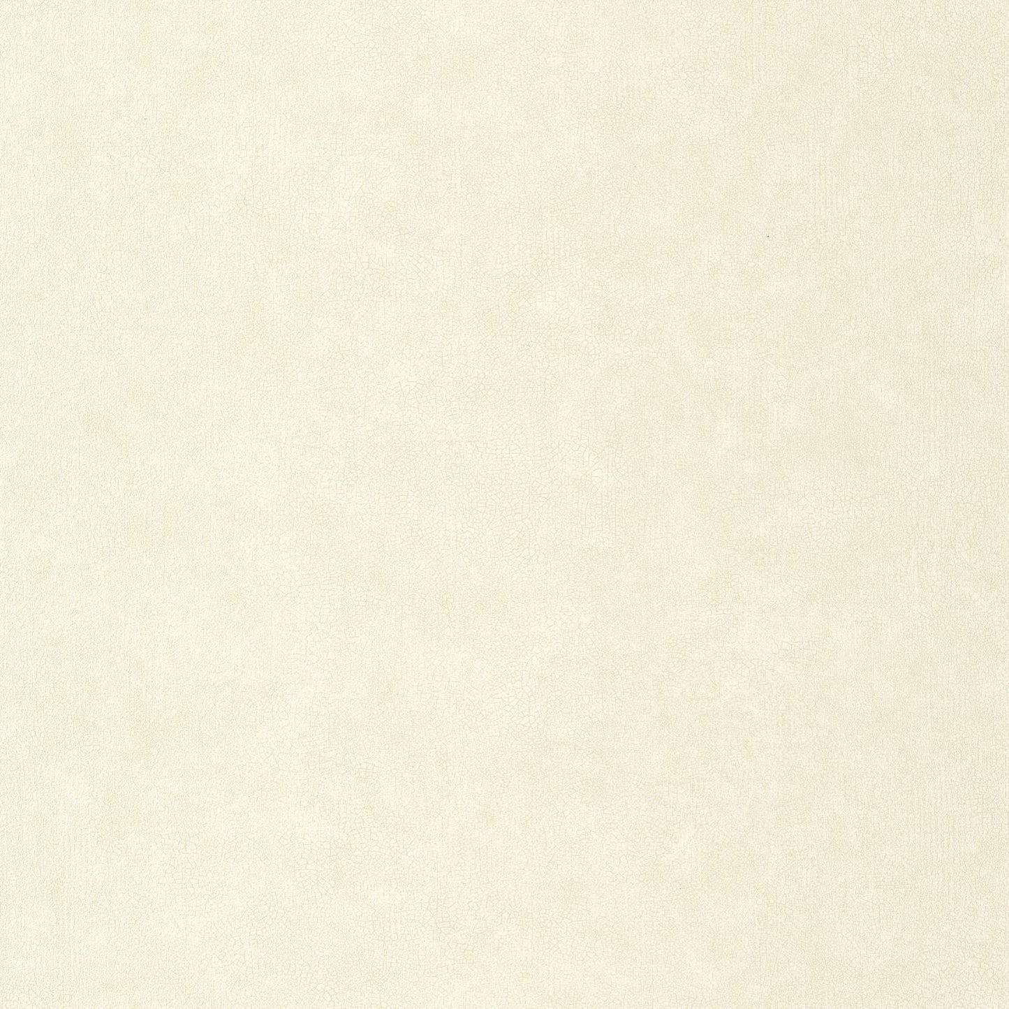 Uni Mat Wallpaper - Ecru - Caselio - 105240000 - Premier Wallcovering