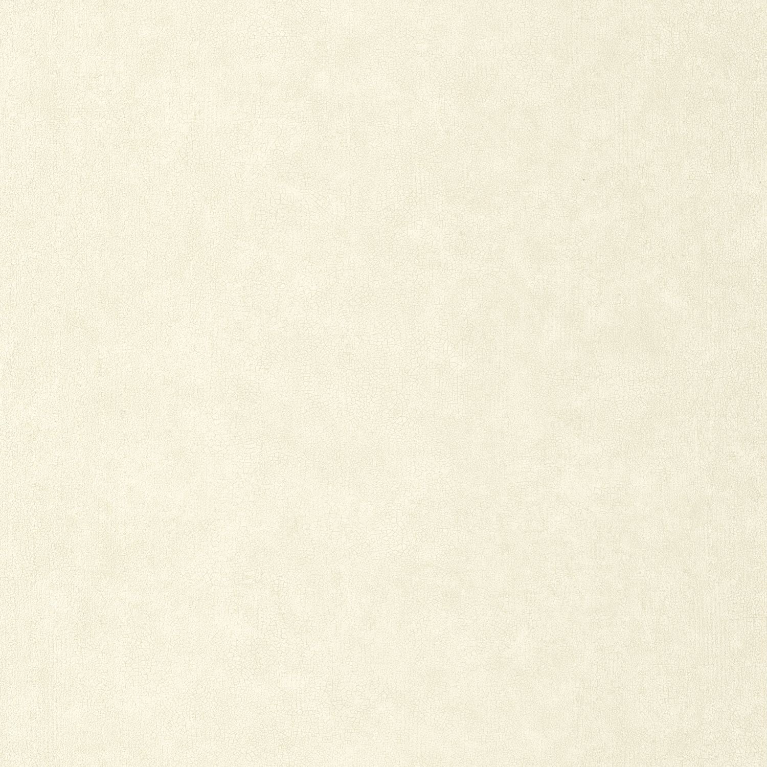 Uni Mat Wallpaper - Ecru - Caselio - 105240000 - Premier Wallcovering