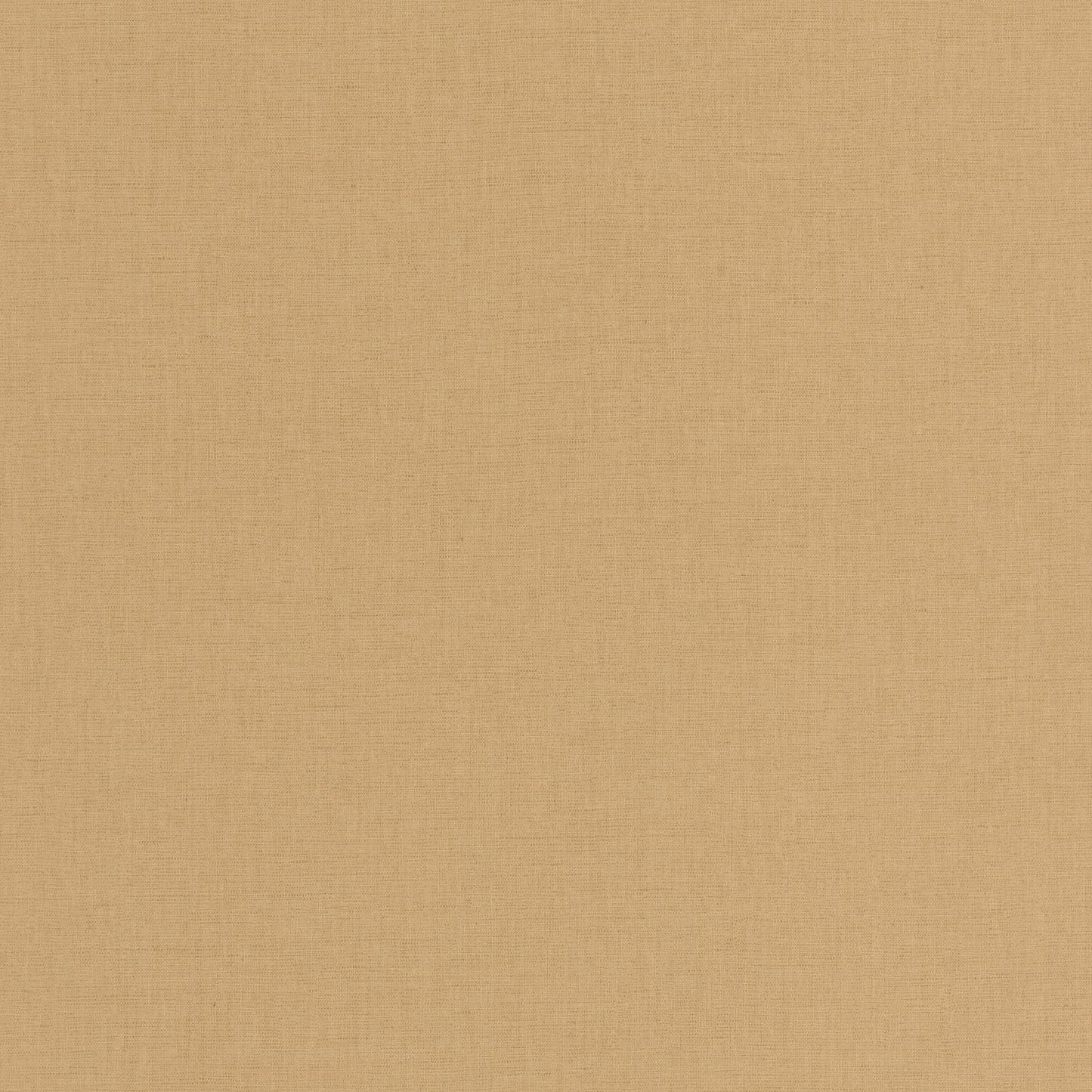 Uni Mat Wallpaper - Savane - Caselio - 103221366 - Premier Wallcovering