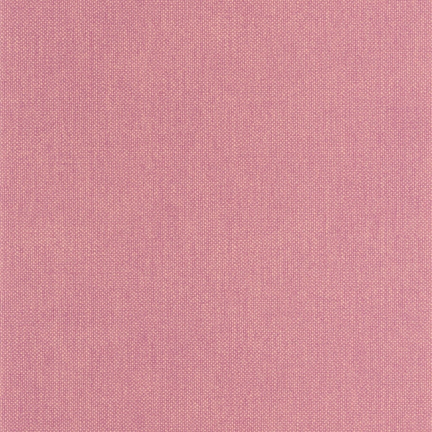 Uni Mat Wallpaper - Fuchsia - Caselio - 104995103 - Premier Wallcovering