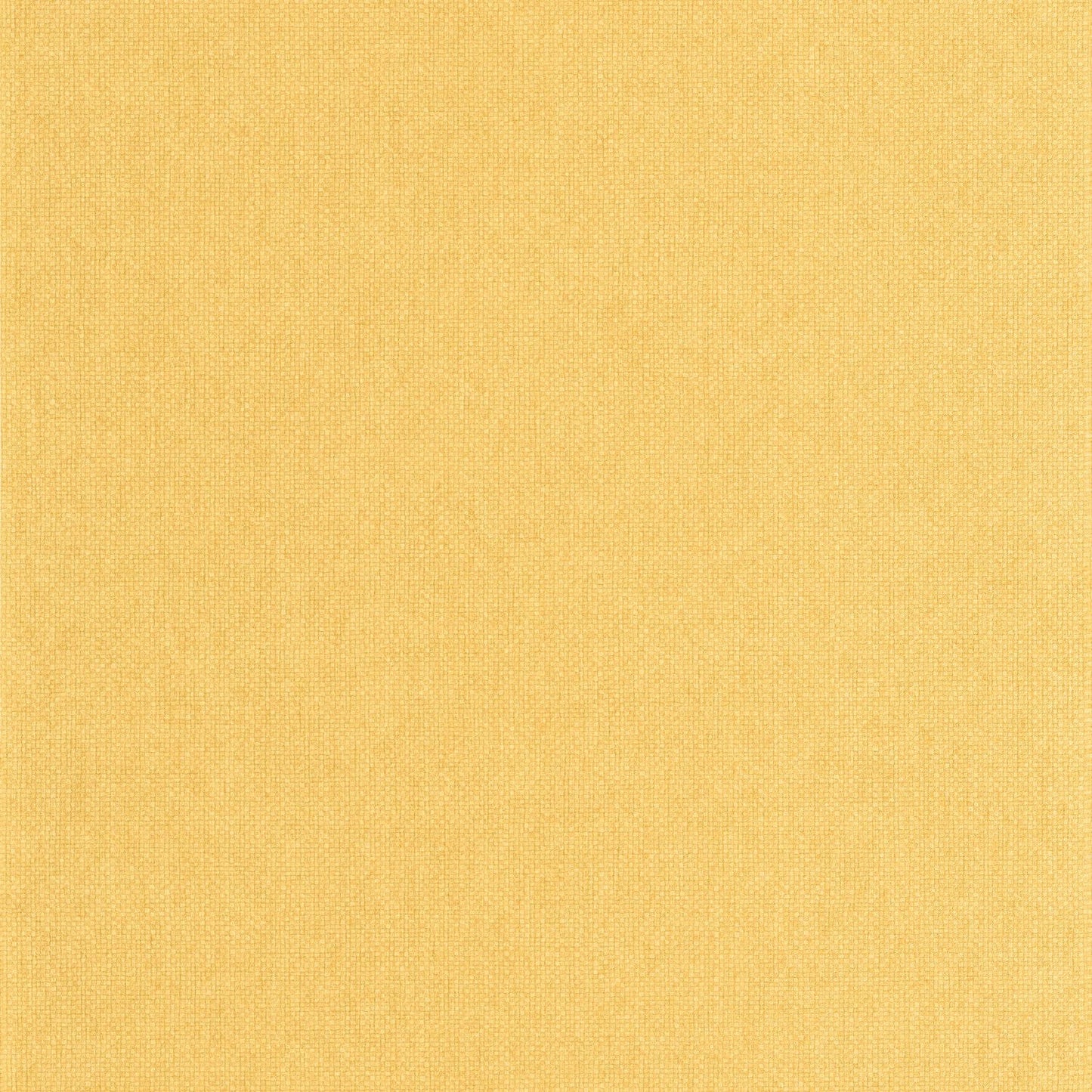Uni Mat Wallpaper - Ocre - Caselio - 104992554 - Premier Wallcovering