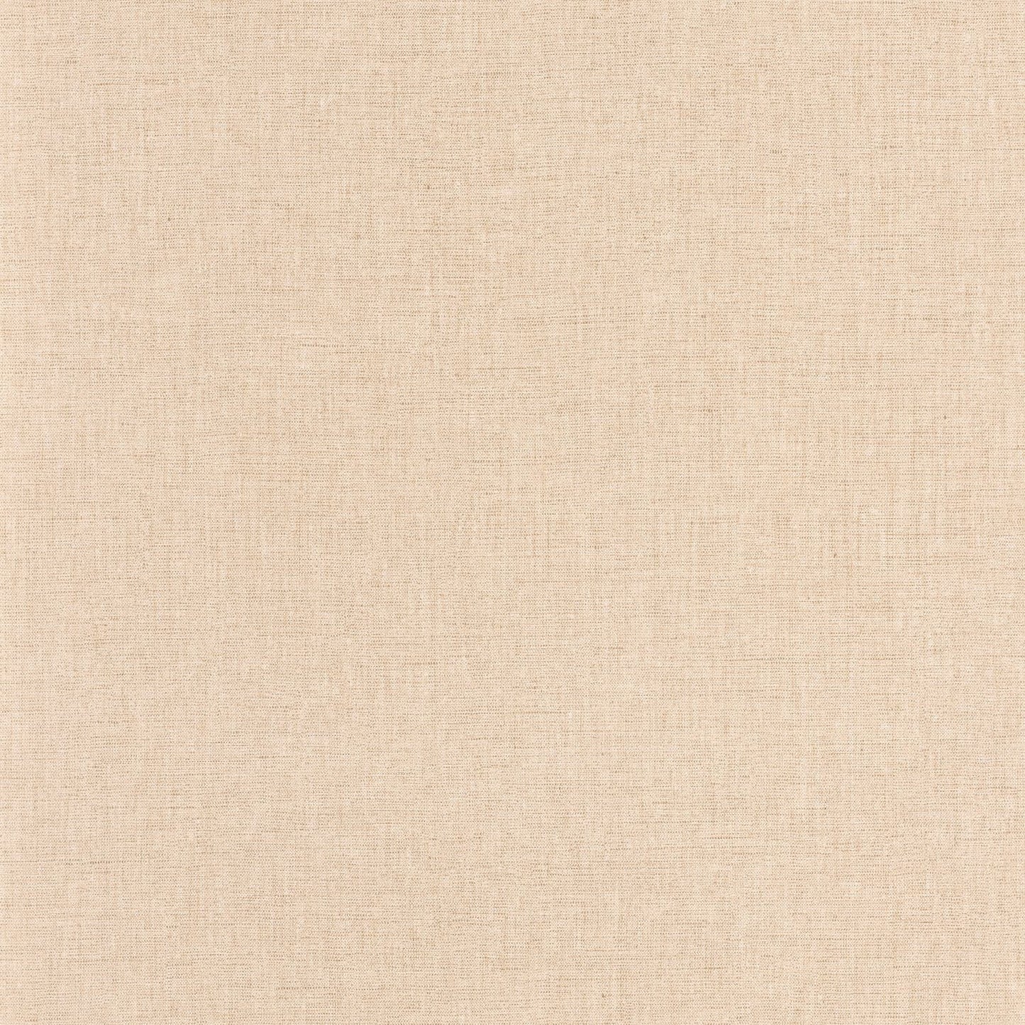 Uni Mat Wallpaper - Beige - Caselio - 103221390 - Premier Wallcovering