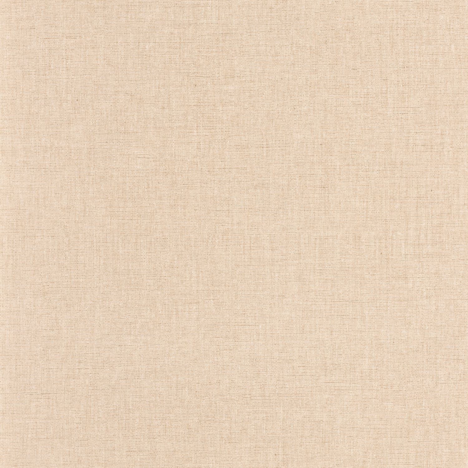 Uni Mat Wallpaper - Beige - Caselio - 103221390 - Premier Wallcovering