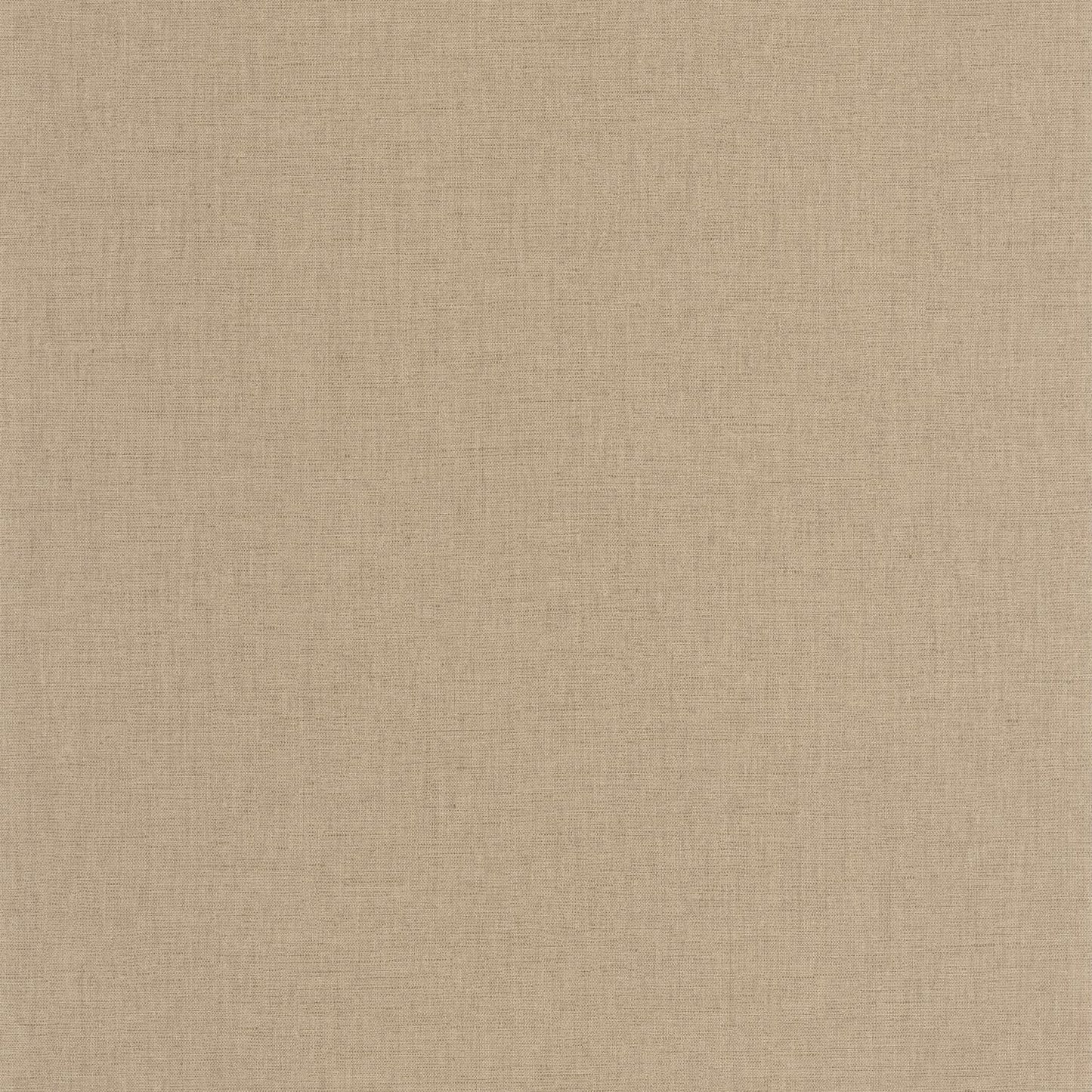 Uni Mat Wallpaper - Amande - Caselio - 103221874 - Premier Wallcovering