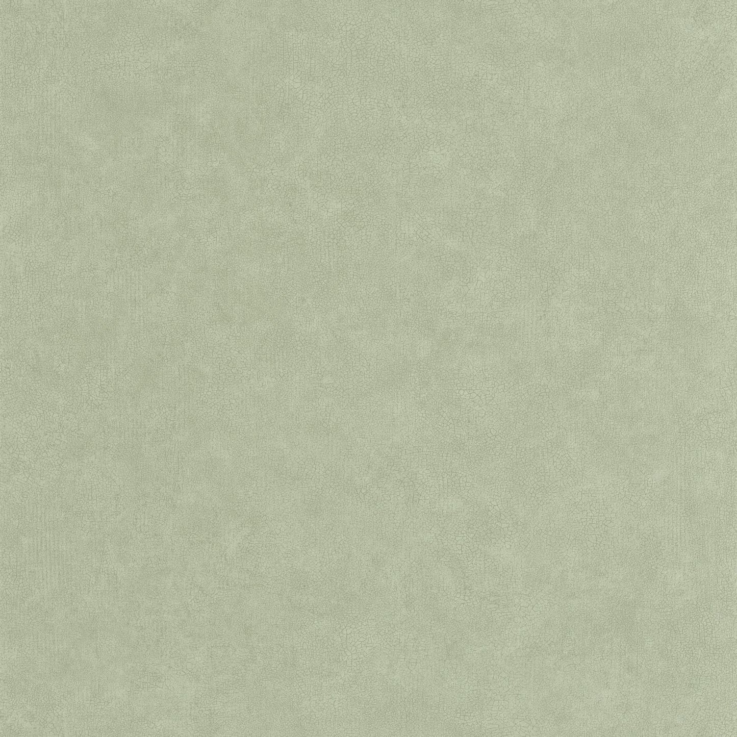 Uni Mat Wallpaper - Sauge - Caselio - 105247740 - Premier Wallcovering