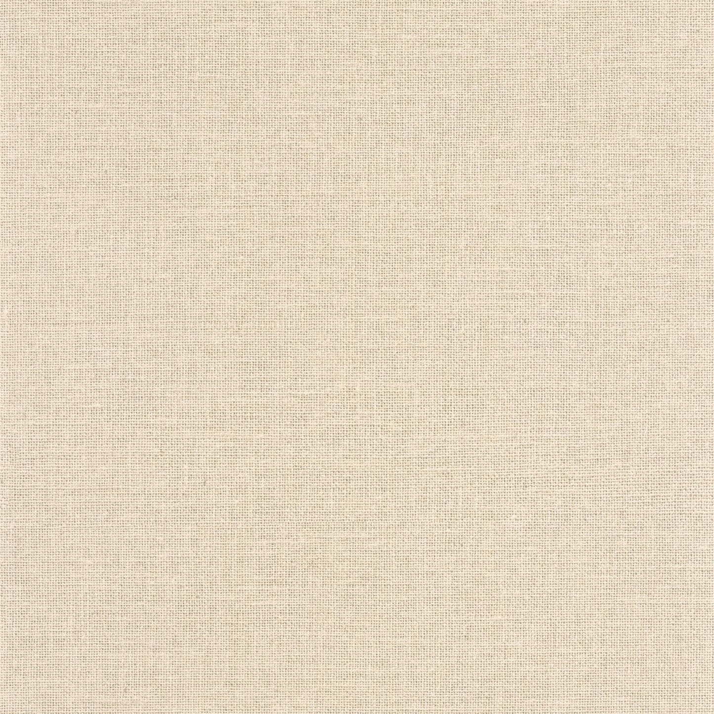 Uni Mat Wallpaper - Ecru - Caselio - 104011230 - Premier Wallcovering