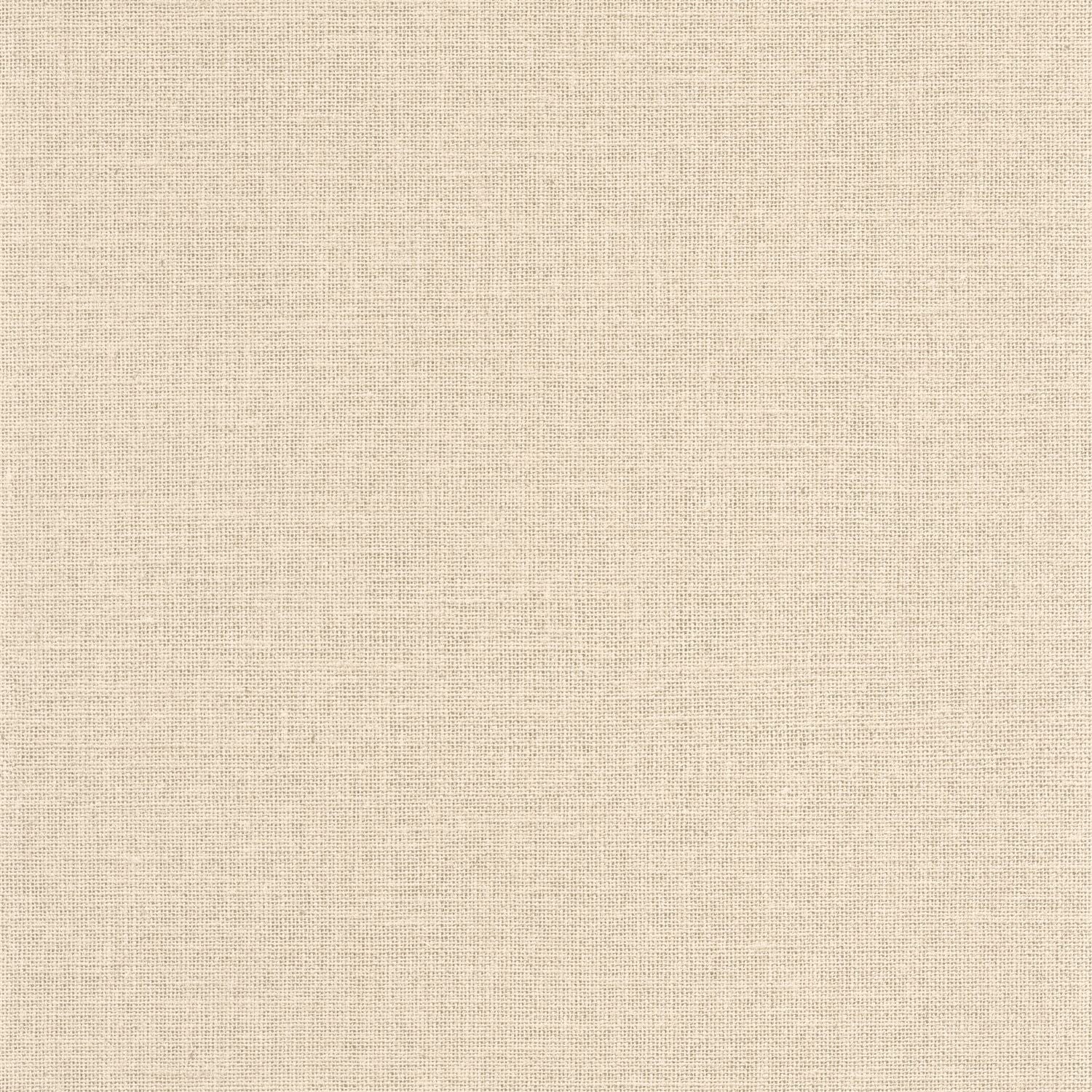 Uni Mat Wallpaper - Ecru - Caselio - 104011230 - Premier Wallcovering