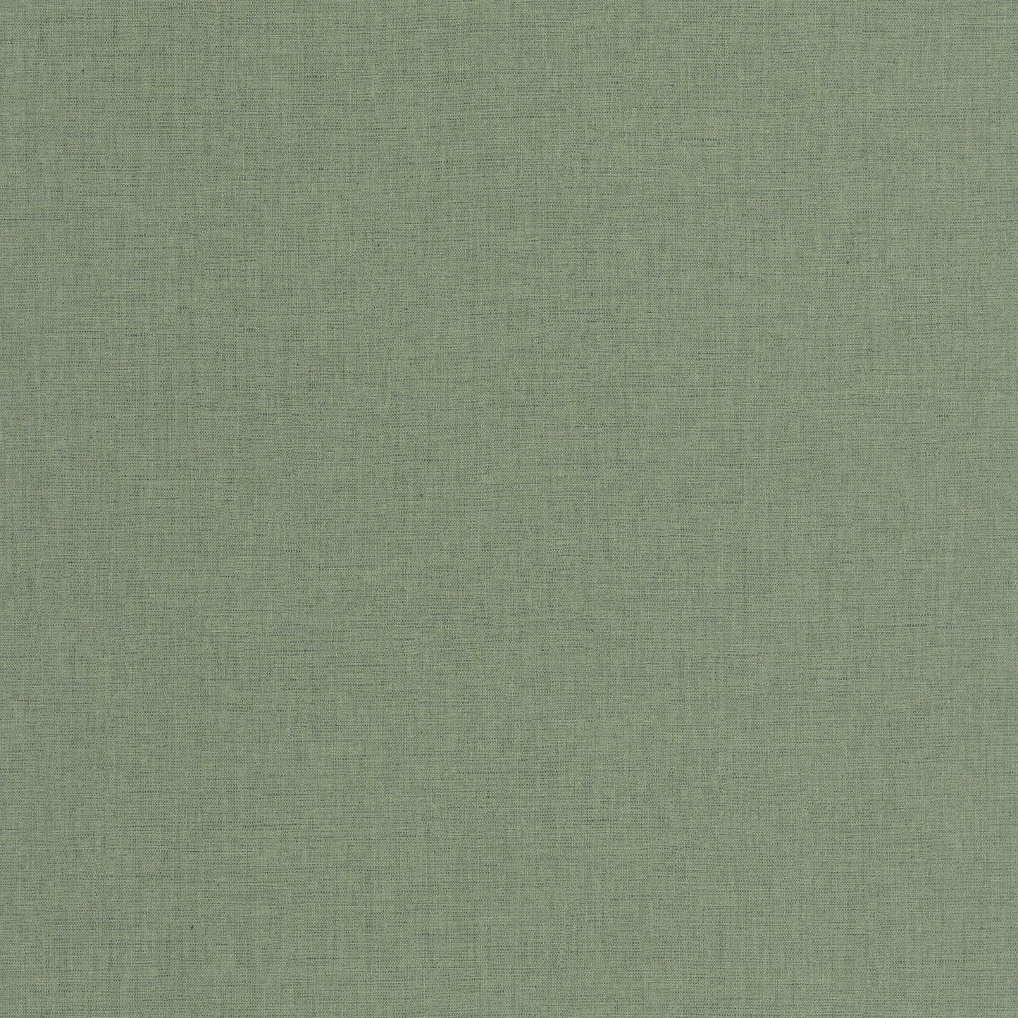 Uni Mat Wallpaper - Vert - Caselio - 103227660 - Premier Wallcovering