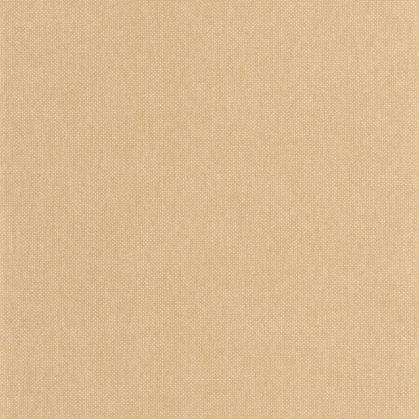 Uni Mat Wallpaper - Miel - Caselio - 104992020 - Premier Wallcovering