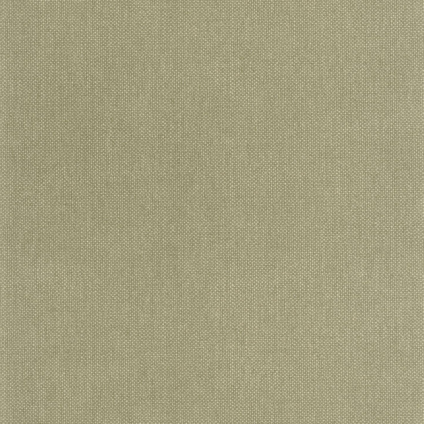 Uni Mat Wallpaper - Vert Militaire - Caselio - 104997570 - Premier Wallcovering