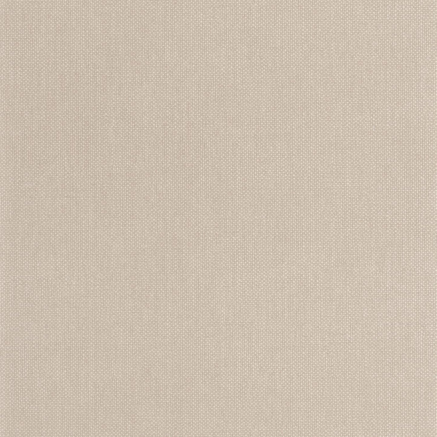 Uni Mat Wallpaper - Grege - Caselio - 104991978 - Premier Wallcovering