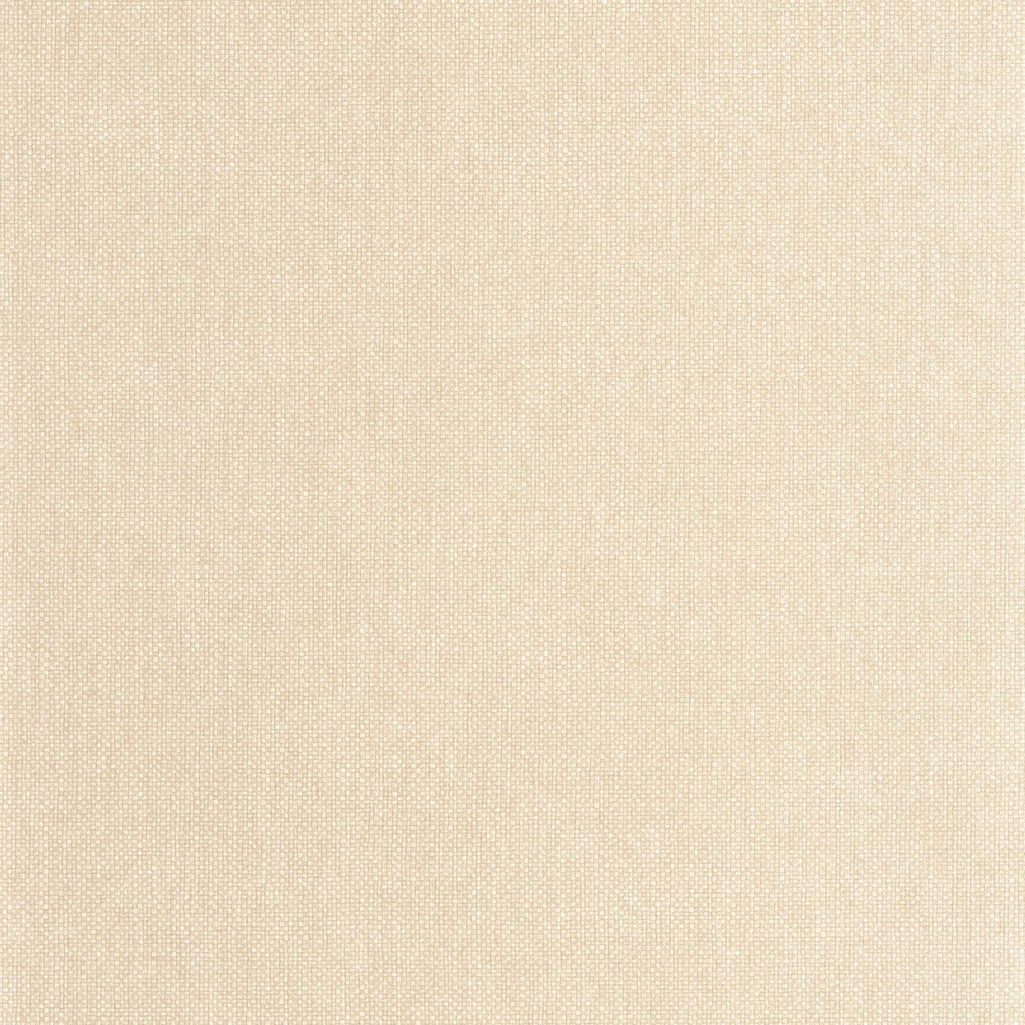 Uni Mat Wallpaper - Beige Galet - Caselio - 104991212 - Premier Wallcovering