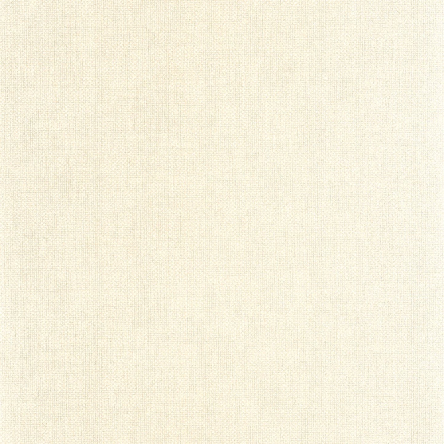 Uni Mat Wallpaper - Ecru - Caselio - 104991021 - Premier Wallcovering