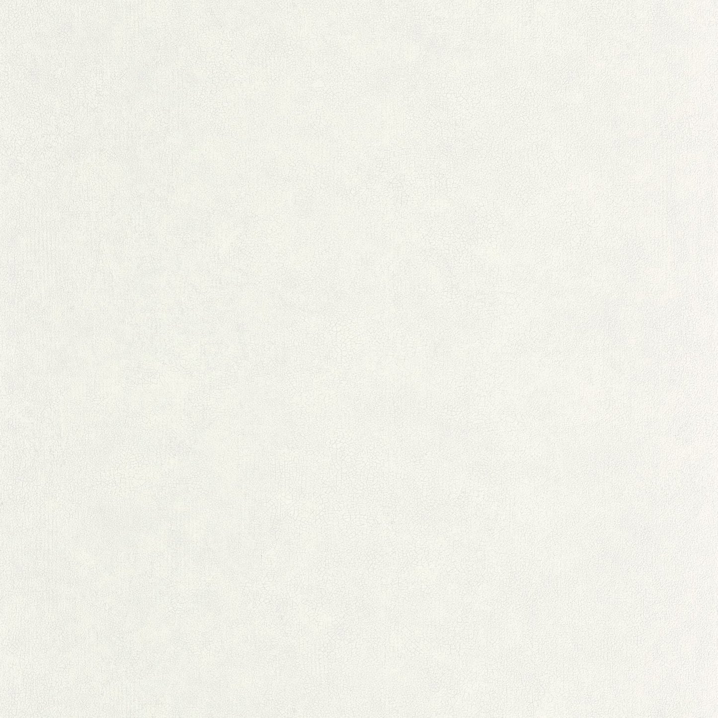 Uni Mat Wallpaper - Gris Etain - Caselio - 105249000 - Premier Wallcovering