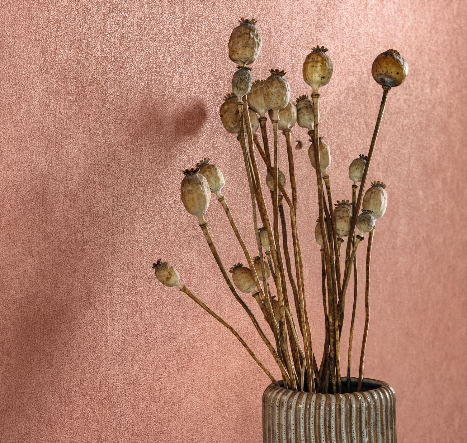 Uni Mat Wallpaper - Rose Antique - Caselio - 105244130 - Premier Wallcovering