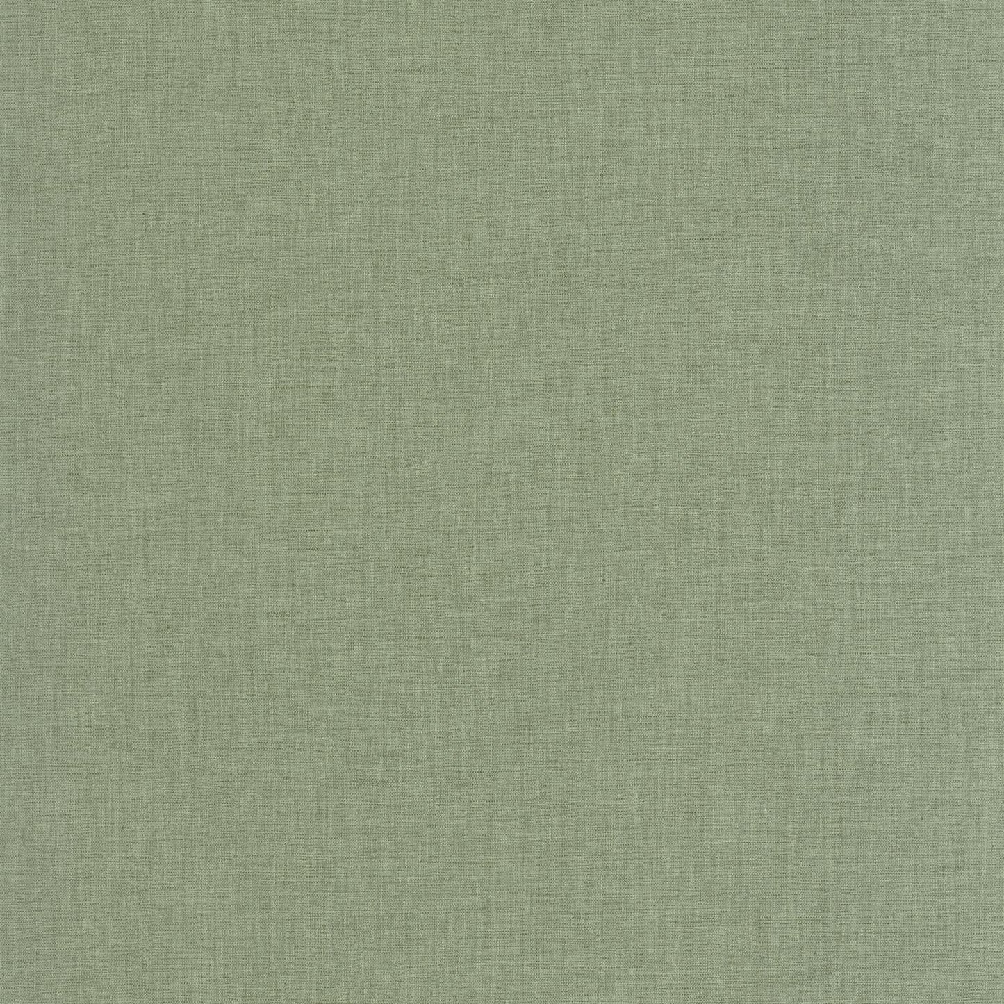 Uni Mat Wallpaper - Sauge - Caselio - 103227602 - Premier Wallcovering