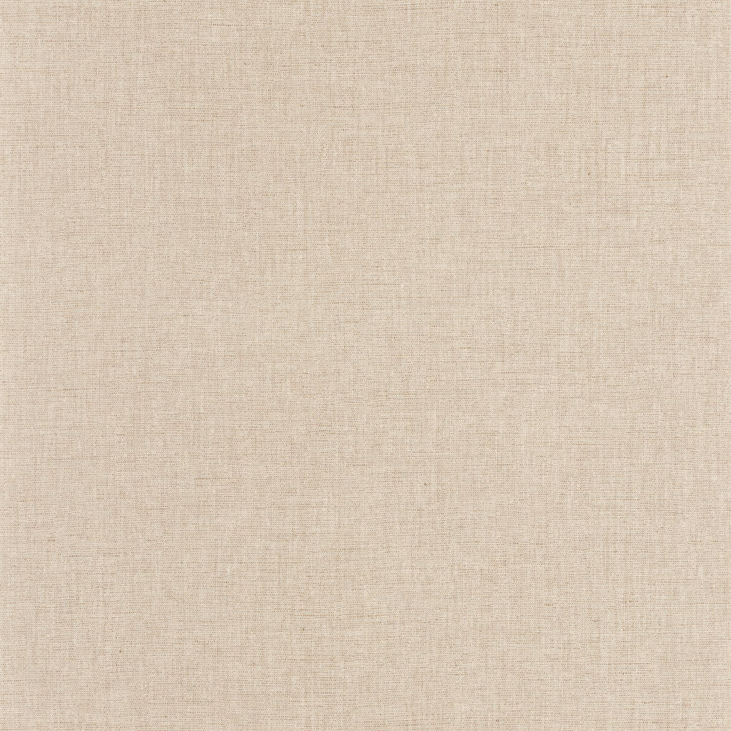 Uni Mat Wallpaper - Beige - Caselio - 103221720 - Premier Wallcovering