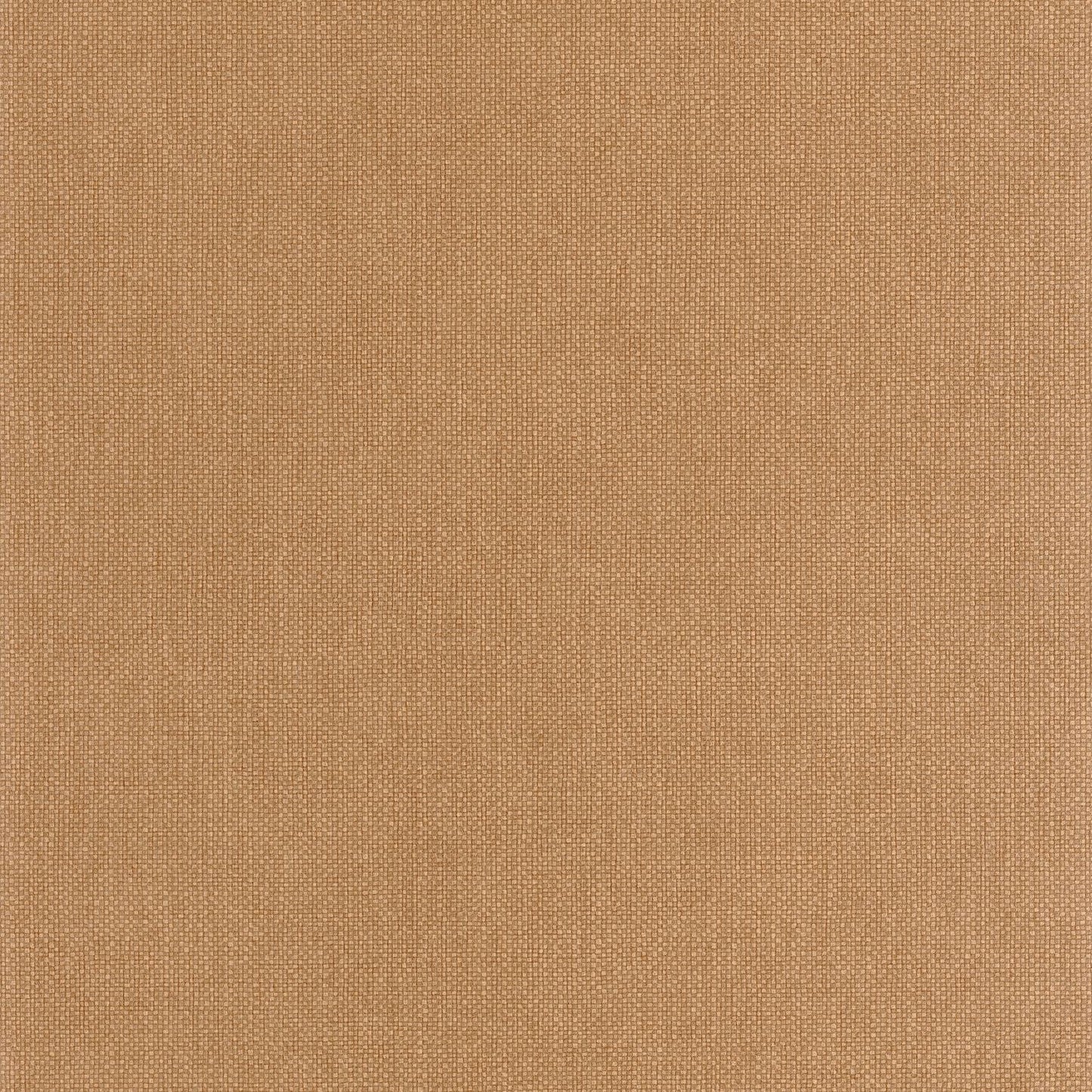 Uni Mat Wallpaper - Amande - Caselio - 104992174 - Premier Wallcovering