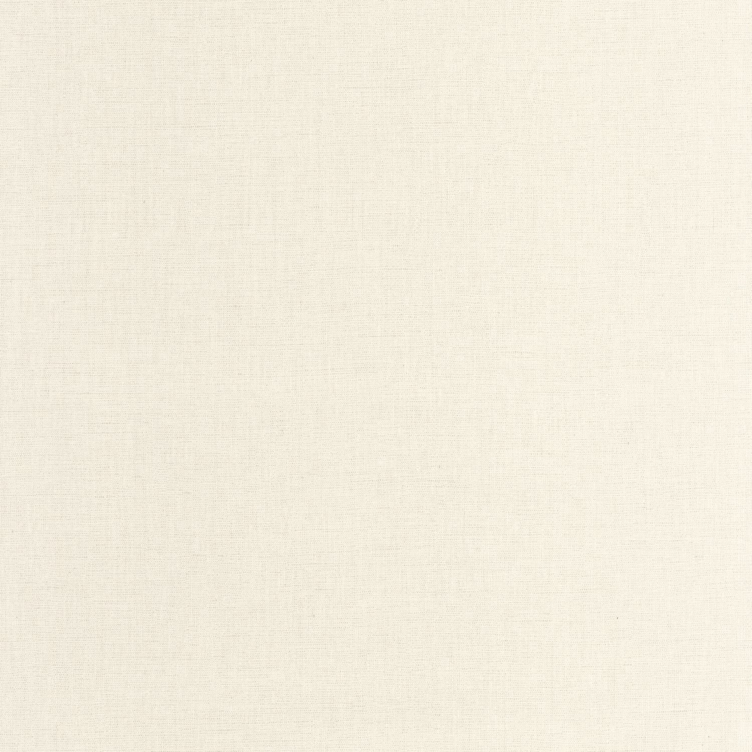 Uni Mat Wallpaper - Porcelaine - Caselio - 103221012 - Premier Wallcovering