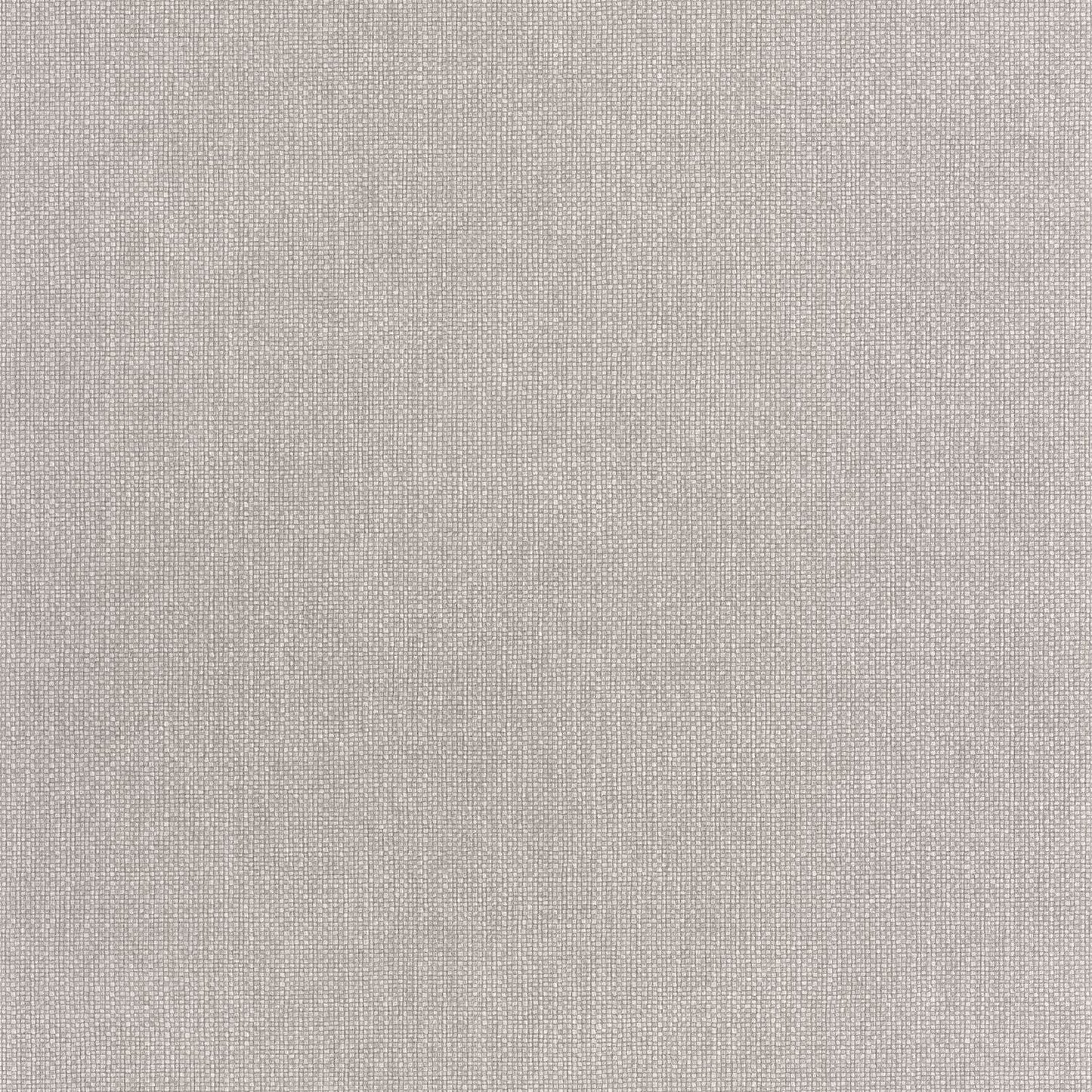 Uni Mat Wallpaper - Cendre - Caselio - 104999609 - Premier Wallcovering