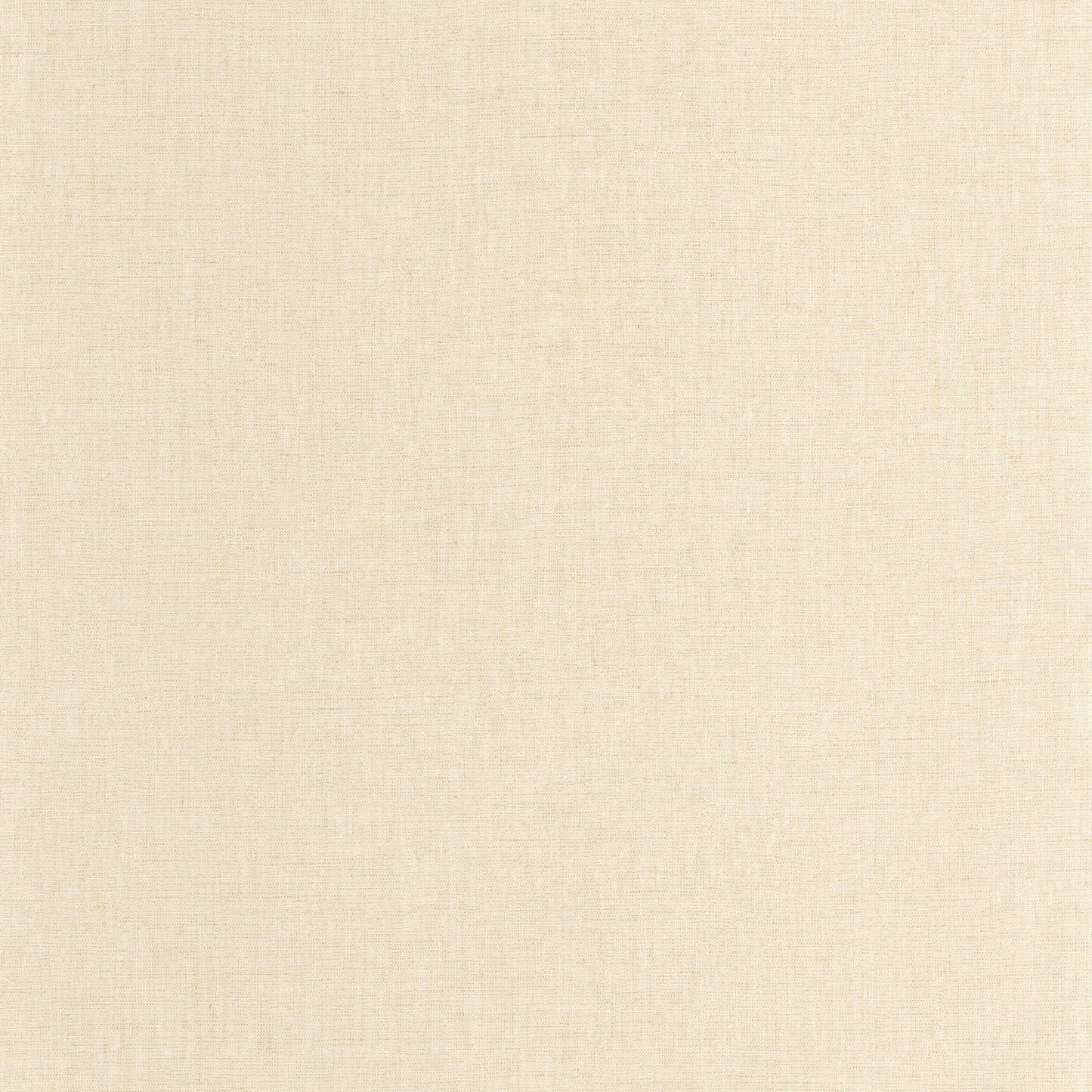 Uni Mat Wallpaper - Avoine - Caselio - 103221550 - Premier Wallcovering