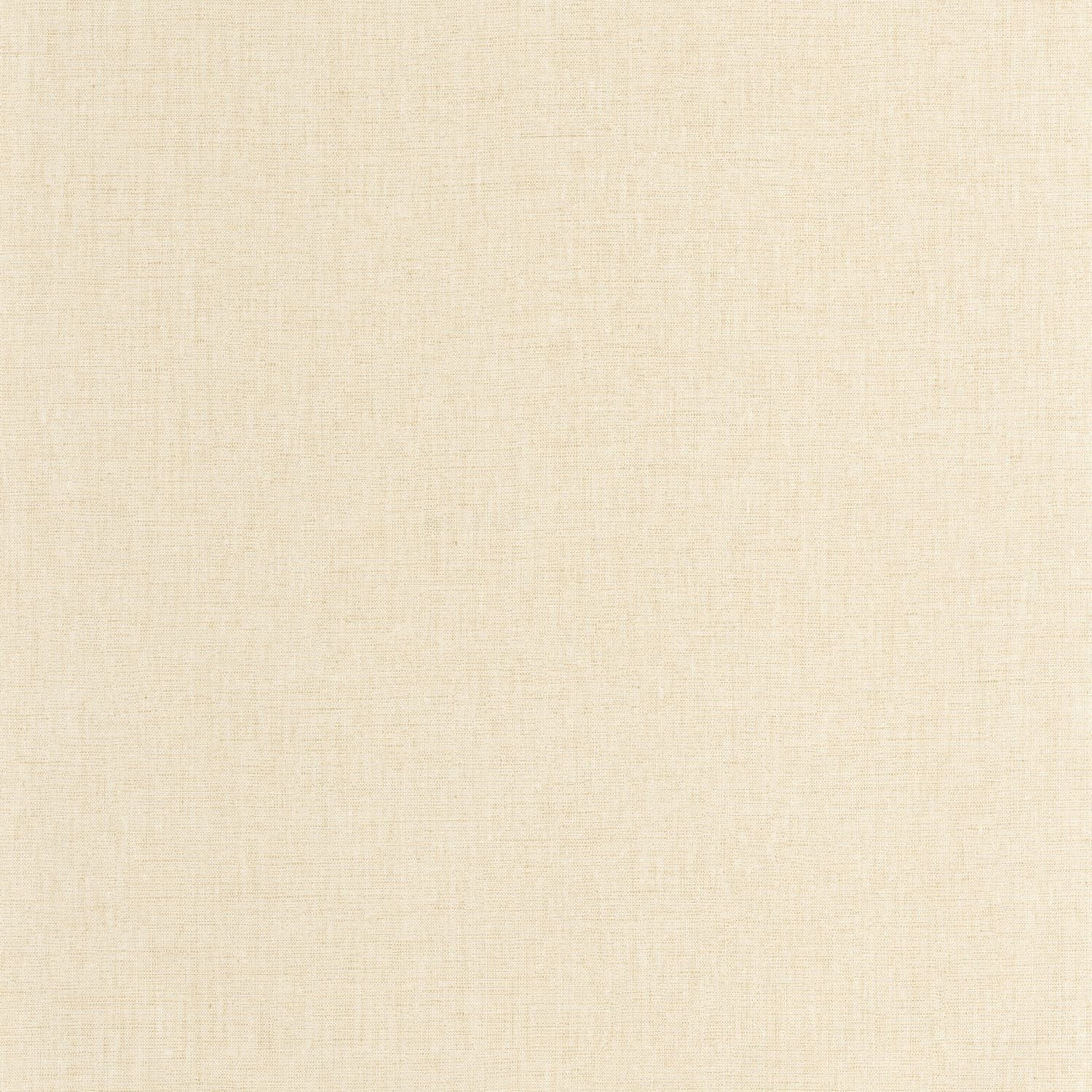 Uni Mat Wallpaper - Avoine - Caselio - 103221550 - Premier Wallcovering