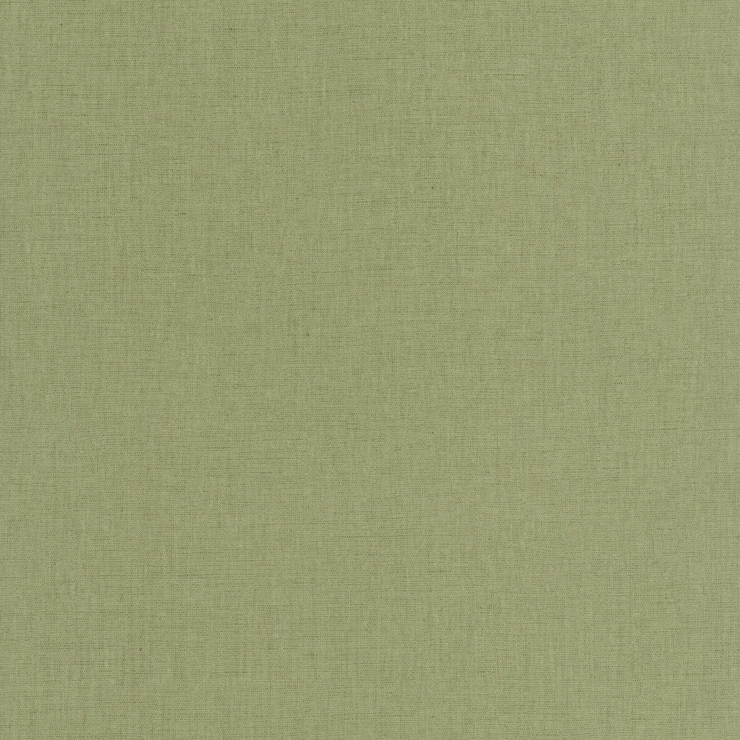 Uni Mat Wallpaper - Pistache - Caselio - 103227864 - Premier Wallcovering