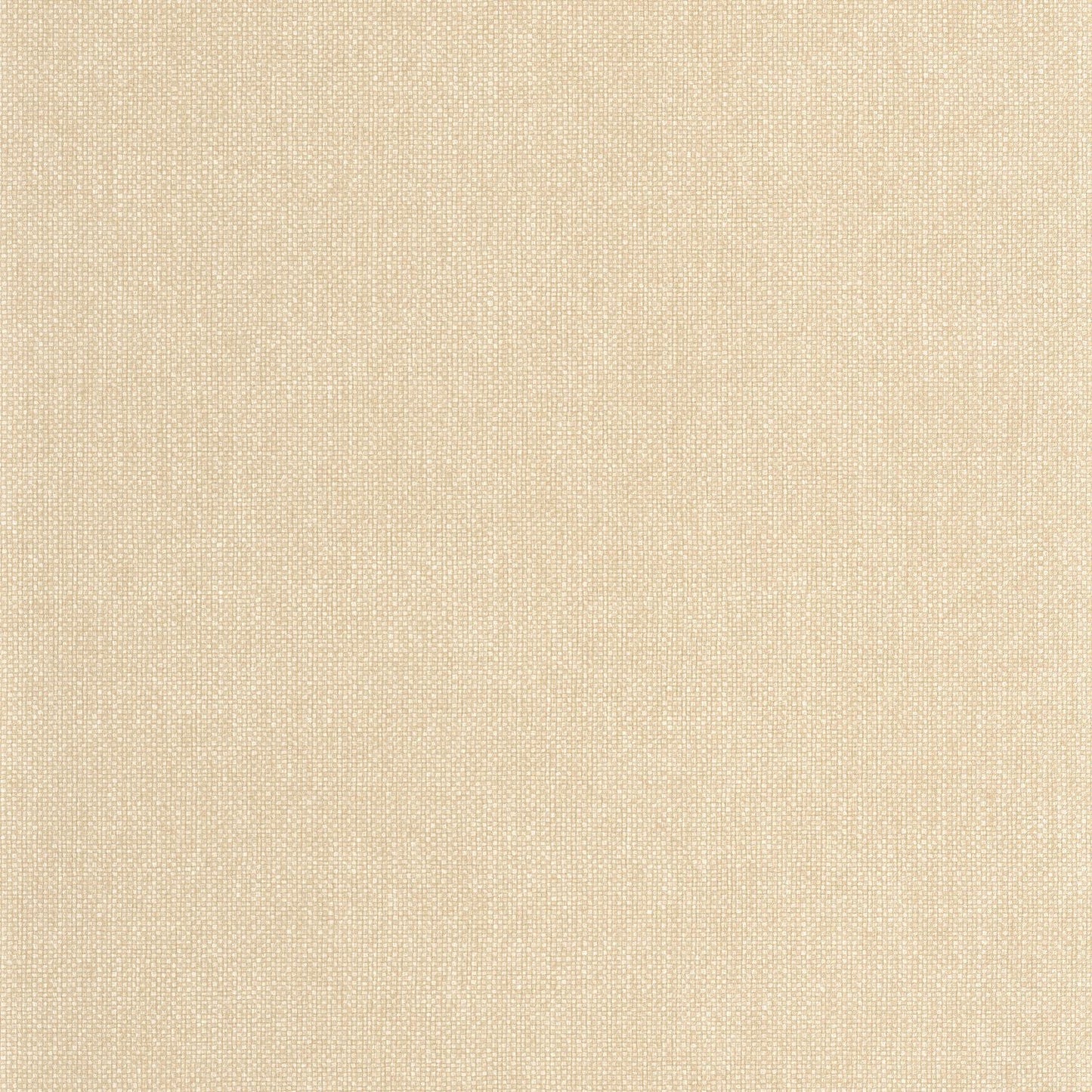 Uni Mat Wallpaper - Camomille - Caselio - 104991300 - Premier Wallcovering