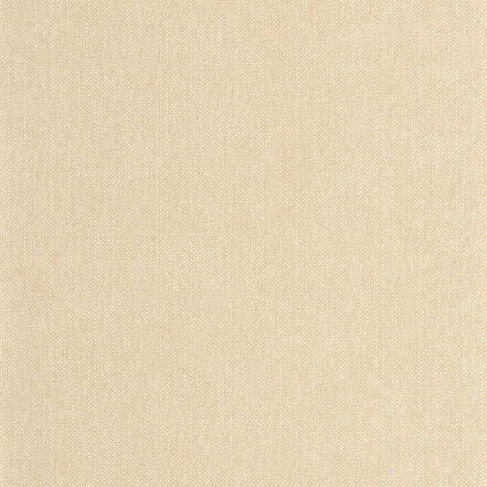 Uni Mat Wallpaper - Camomille - Caselio - 104991300 - Premier Wallcovering