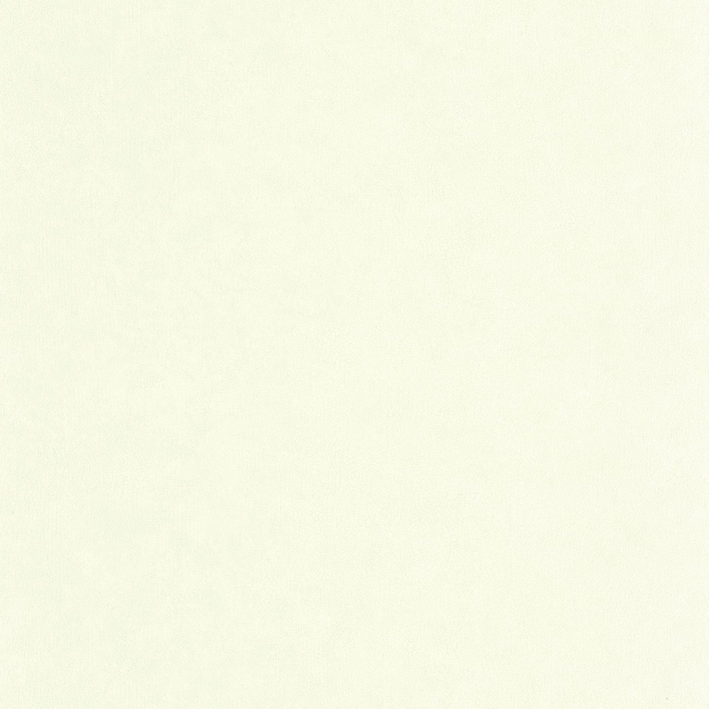 Uni Mat Wallpaper - Celadon - Caselio - 105247110 - Premier Wallcovering