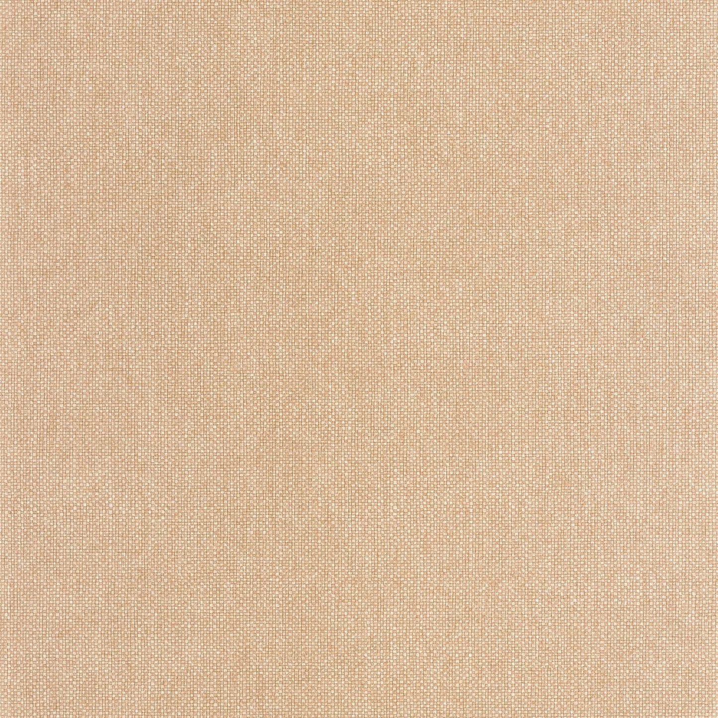 Uni Mat Wallpaper - Noisette - Caselio - 104991796 - Premier Wallcovering