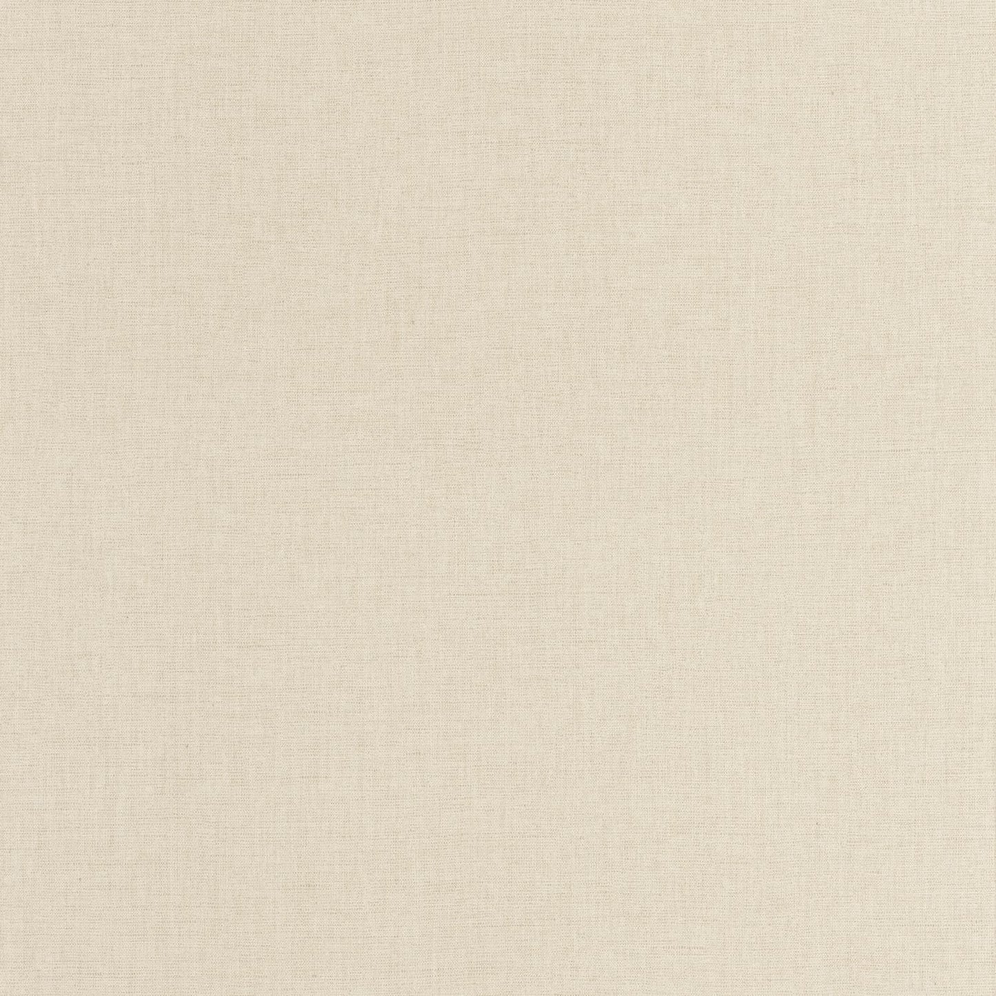 Uni Mat Wallpaper - Pale - Caselio - 103227577 - Premier Wallcovering