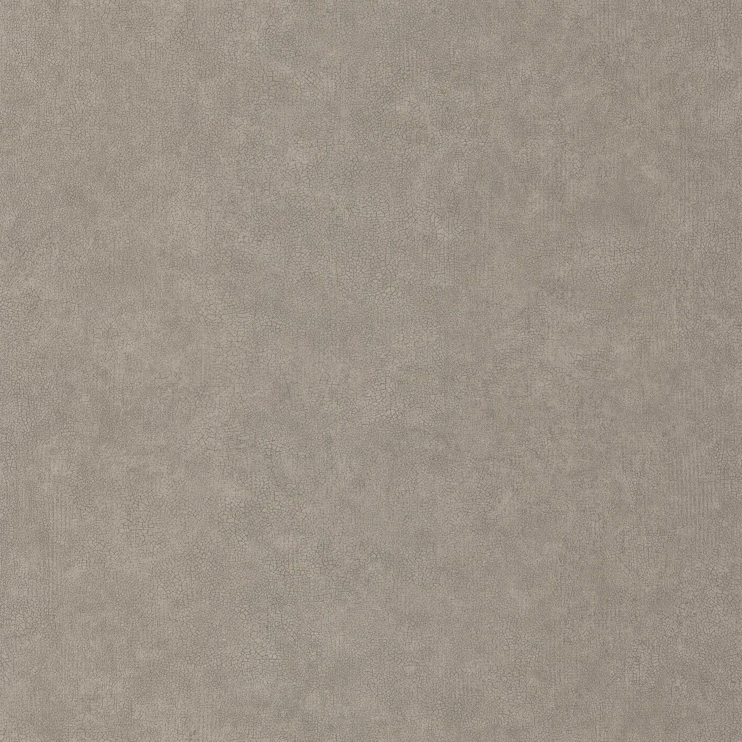 Uni Mat Wallpaper - Taupe - Caselio - 105242290 - Premier Wallcovering