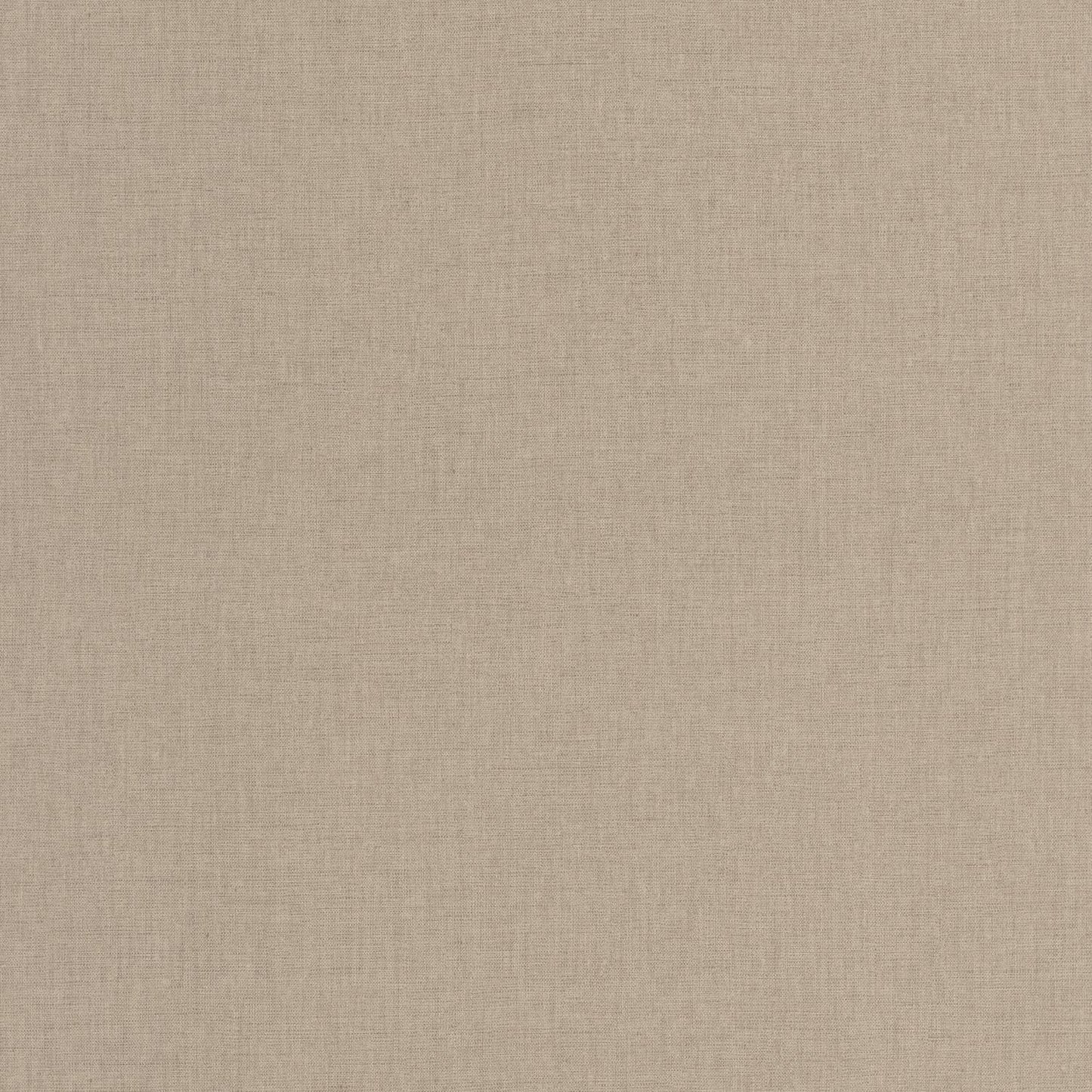 Uni Mat Wallpaper - Sepia - Caselio - 103221717 - Premier Wallcovering