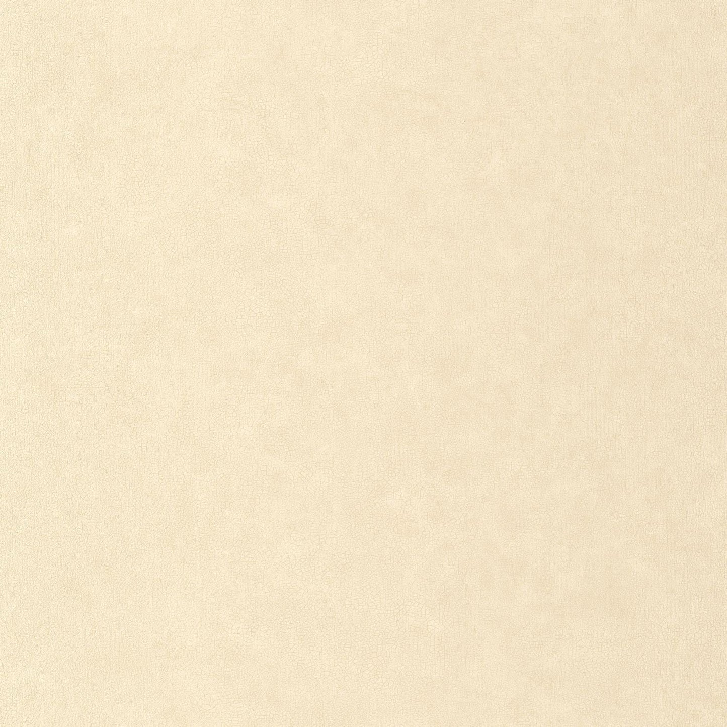 Uni Mat Wallpaper - Beige - Caselio - 105241110 - Premier Wallcovering