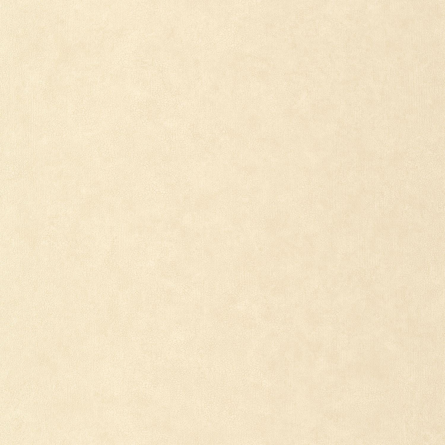 Uni Mat Wallpaper - Beige - Caselio - 105241110 - Premier Wallcovering