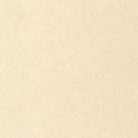 Uni Mat Wallpaper - Beige - Caselio - 105241110 - Premier Wallcovering