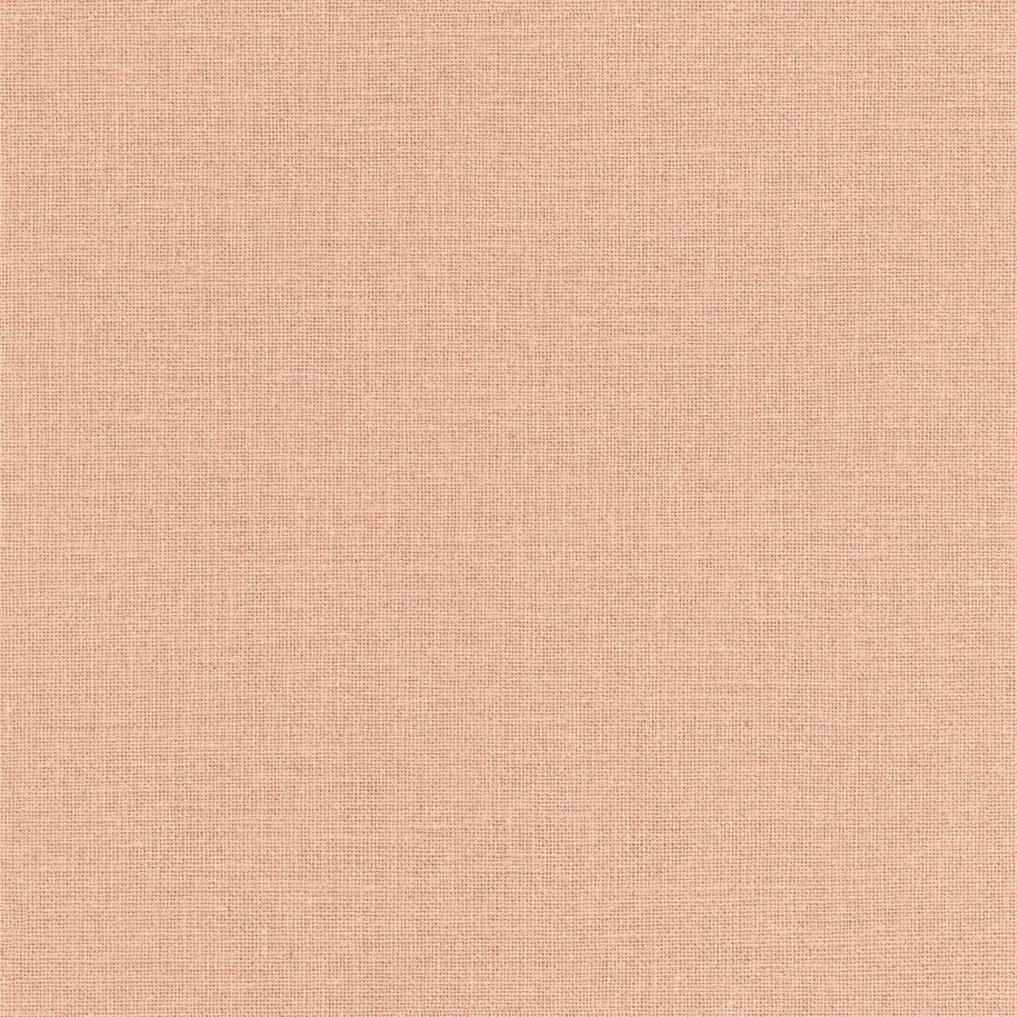 Uni Mat Wallpaper - Rose Poudre - Caselio - 104014181 - Premier Wallcovering
