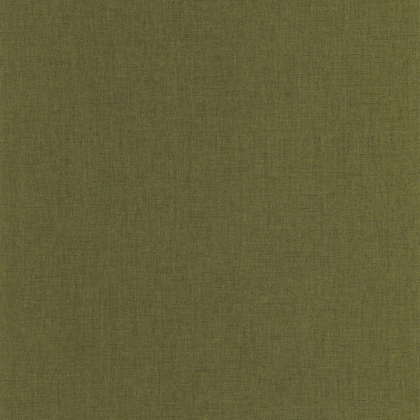 Uni Mat Wallpaper - Kaki - Caselio - 103227549 - Premier Wallcovering