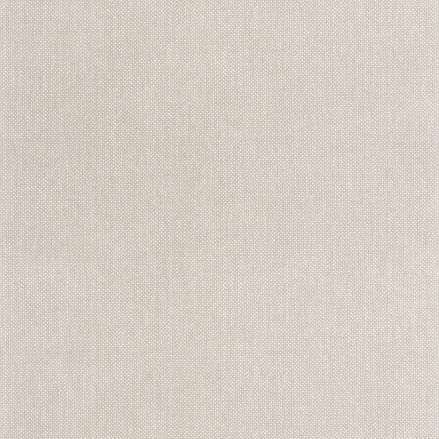 Uni Mat Wallpaper - Lin Fonce - Caselio - 104999564 - Premier Wallcovering